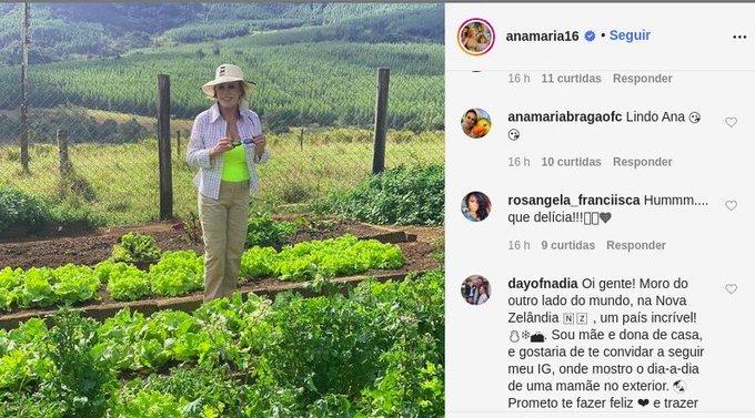 Ana Maria Braga compara horta orgânica com clipe da Ludmilla 