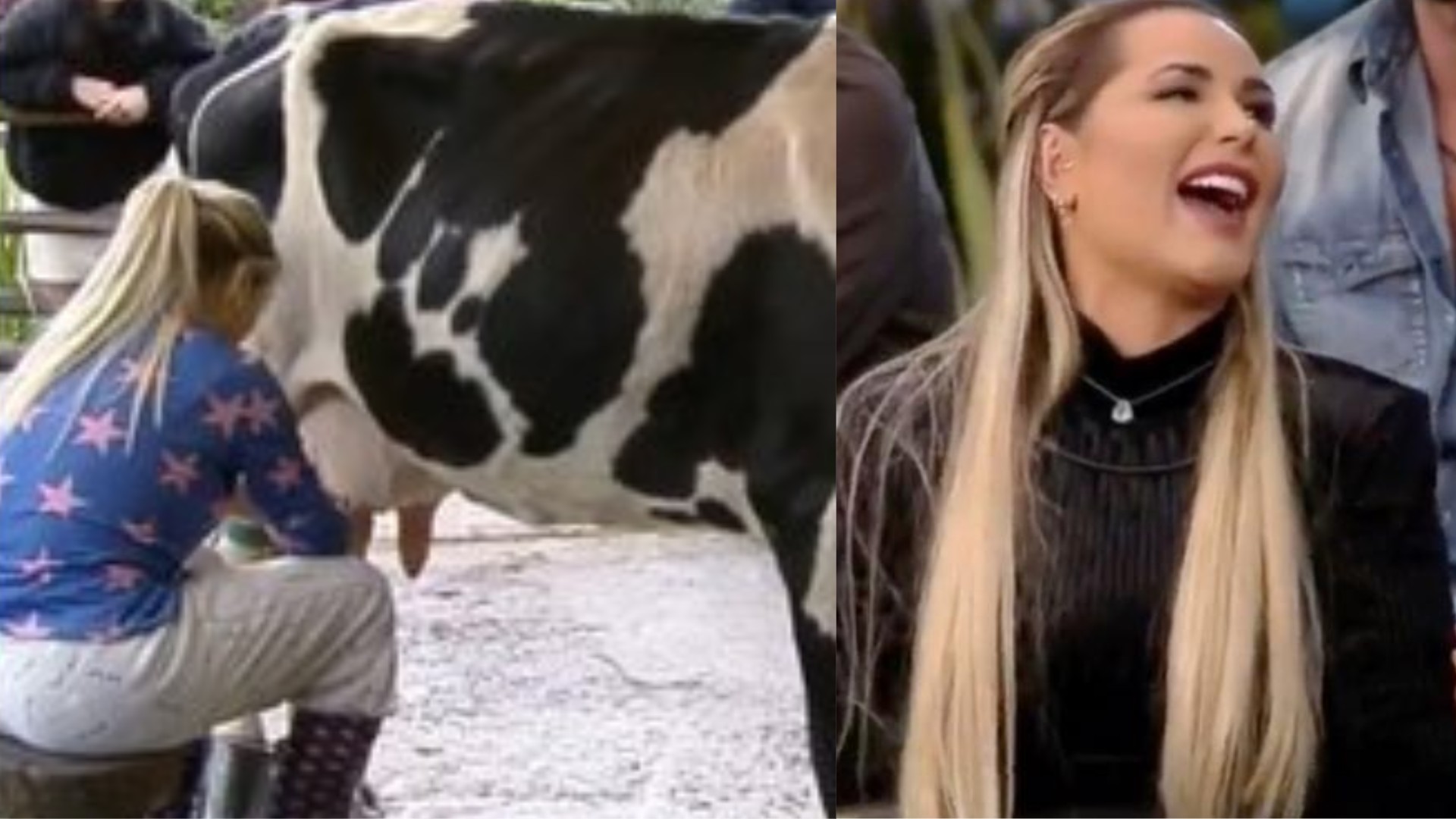 Deolane em 'A Fazenda' (Reprodução/TV Record))