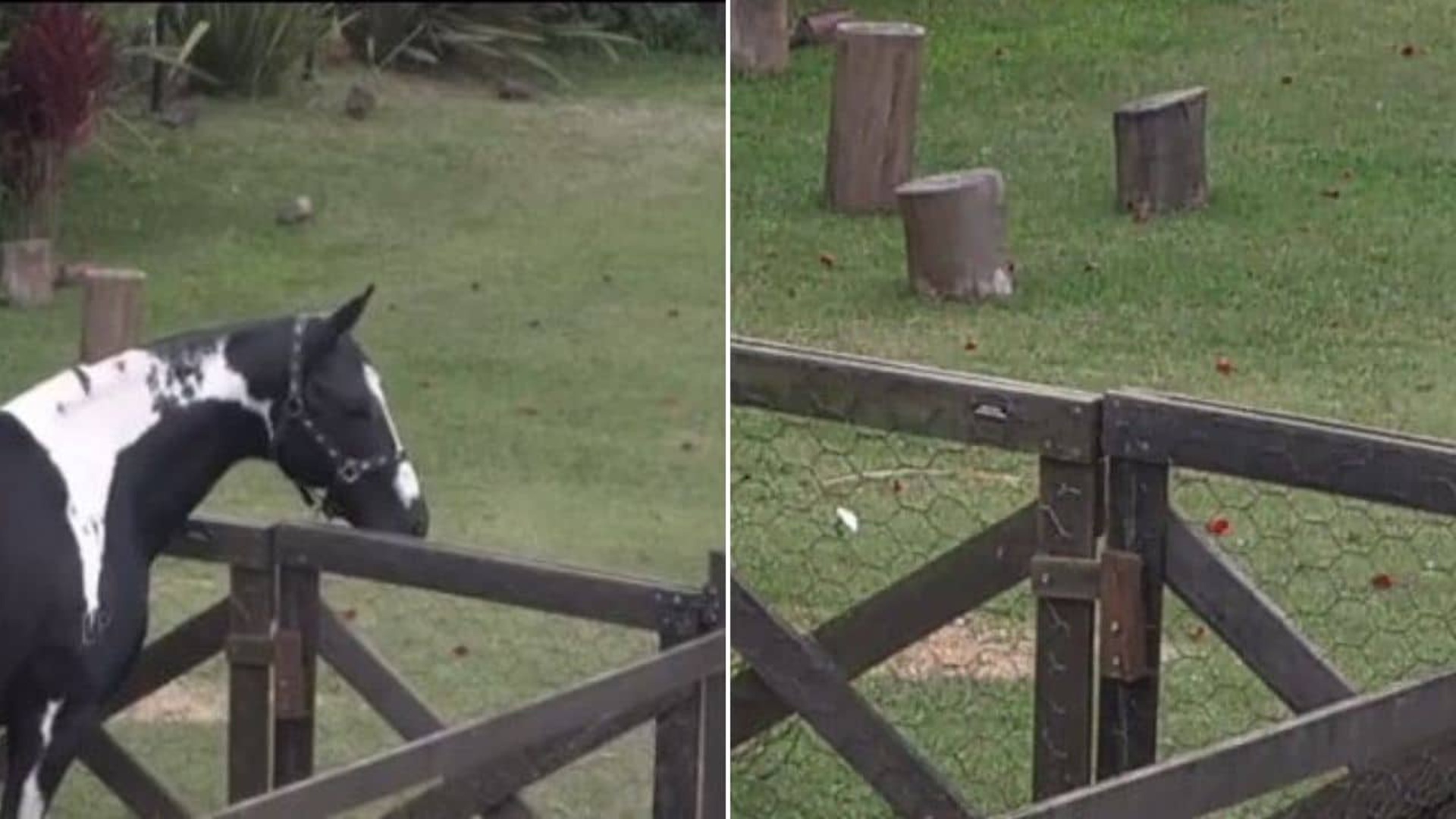 Sede de 'A Fazenda' (crédito: reprodução/twitter)
