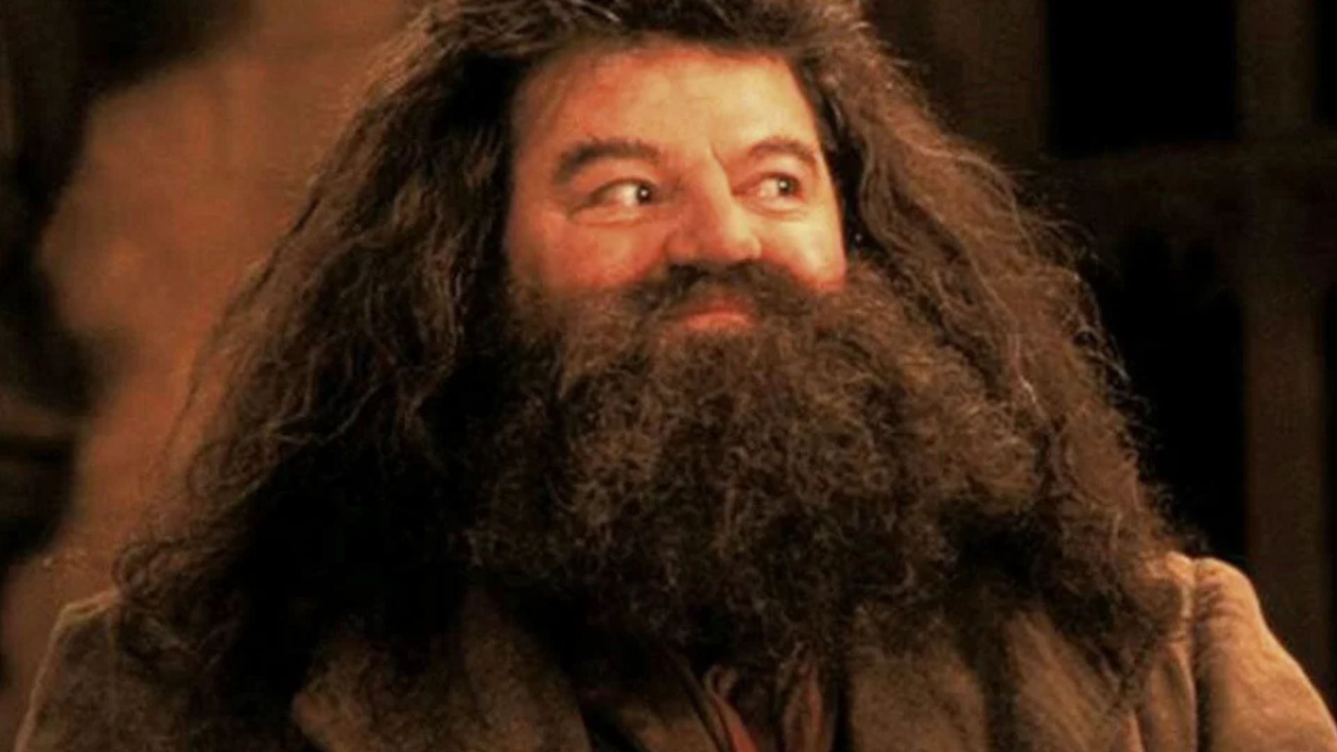 Robbie Coltrane em 'Harry Potter'. Reprodução/Warner