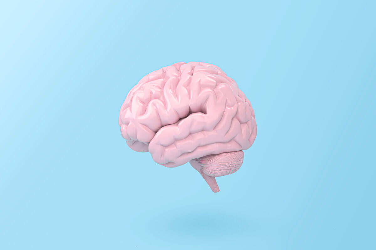 (Imagem: Shutterstock)