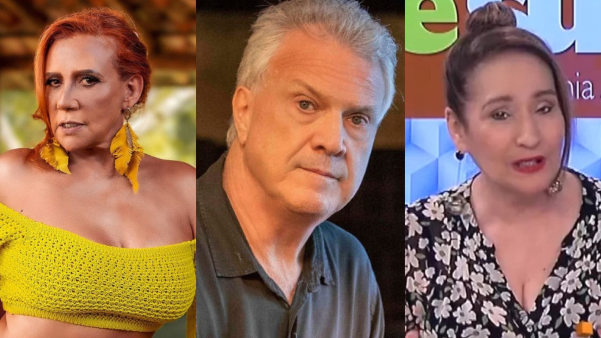 Rita Cadillac, Pedro Bial, Sonia Abrão (Reprodução/Instagram/Divulgação)