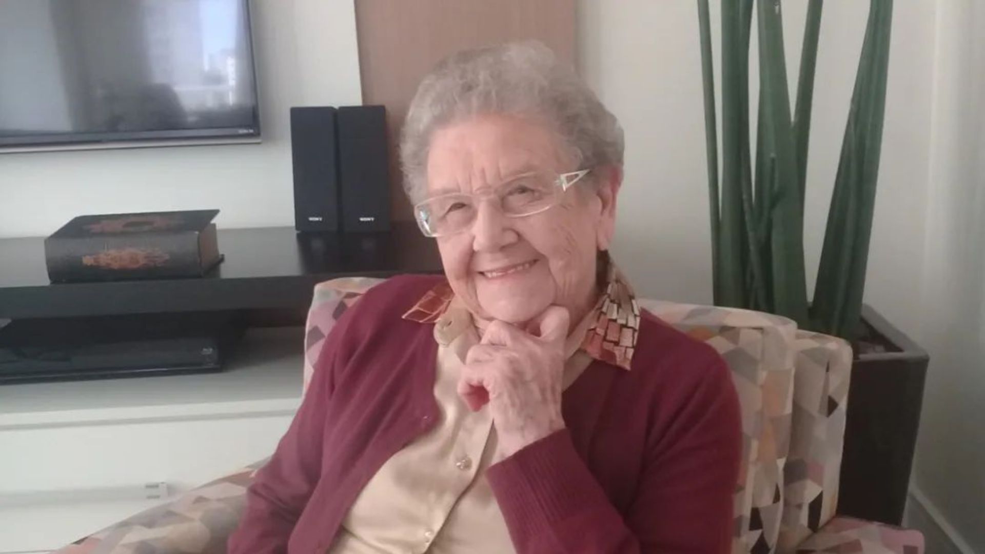 Palmirinha Onofre