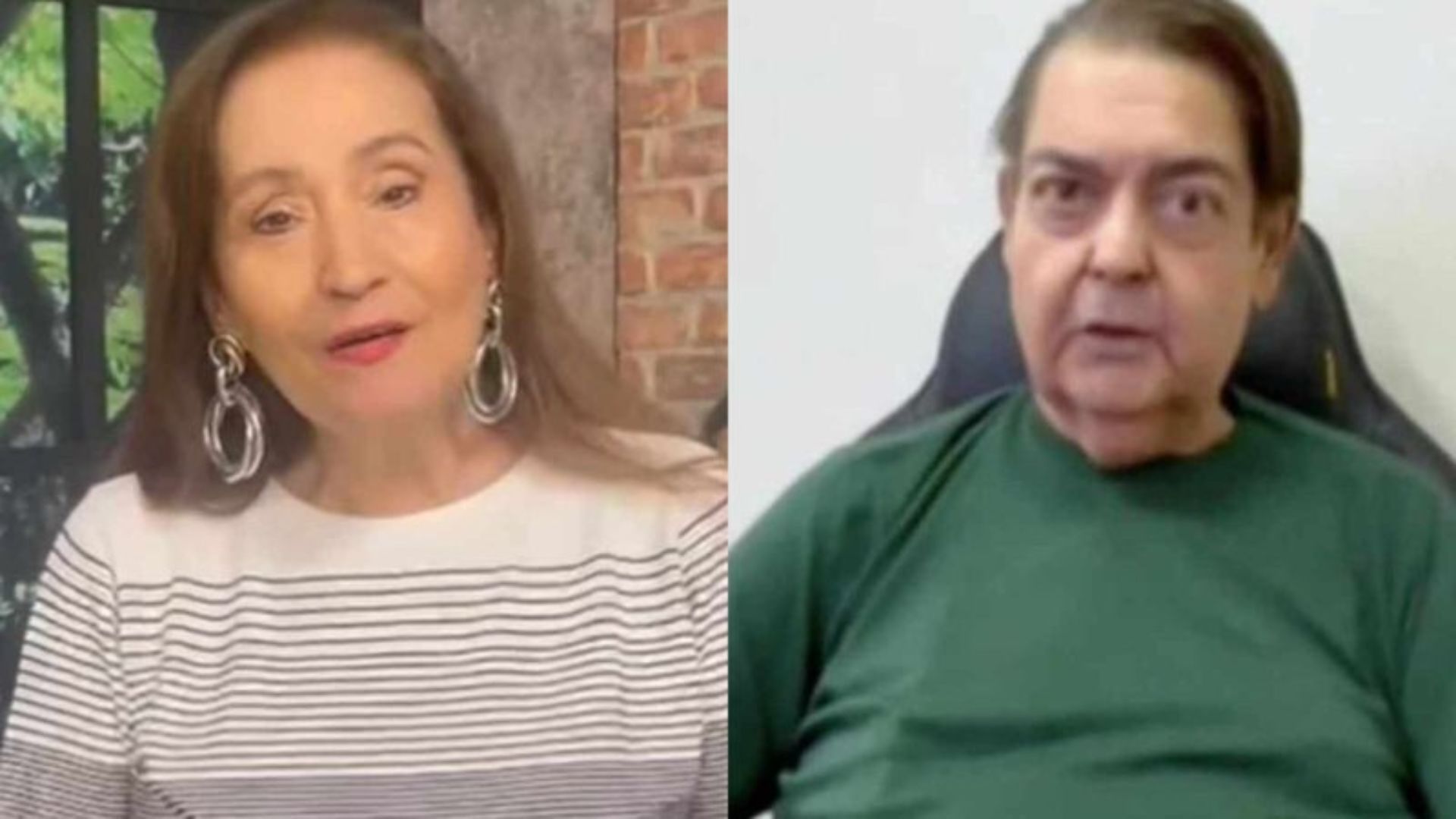 Sonia Abrão e Faustão - Reprodução/RedeTV!/TV Globo