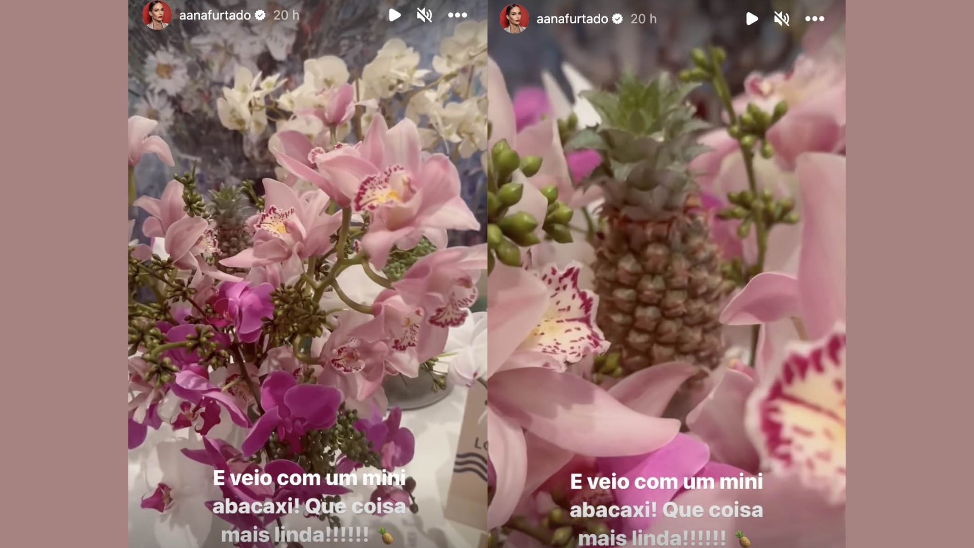 Ana Furtado via stories - Reprodução/Instagram