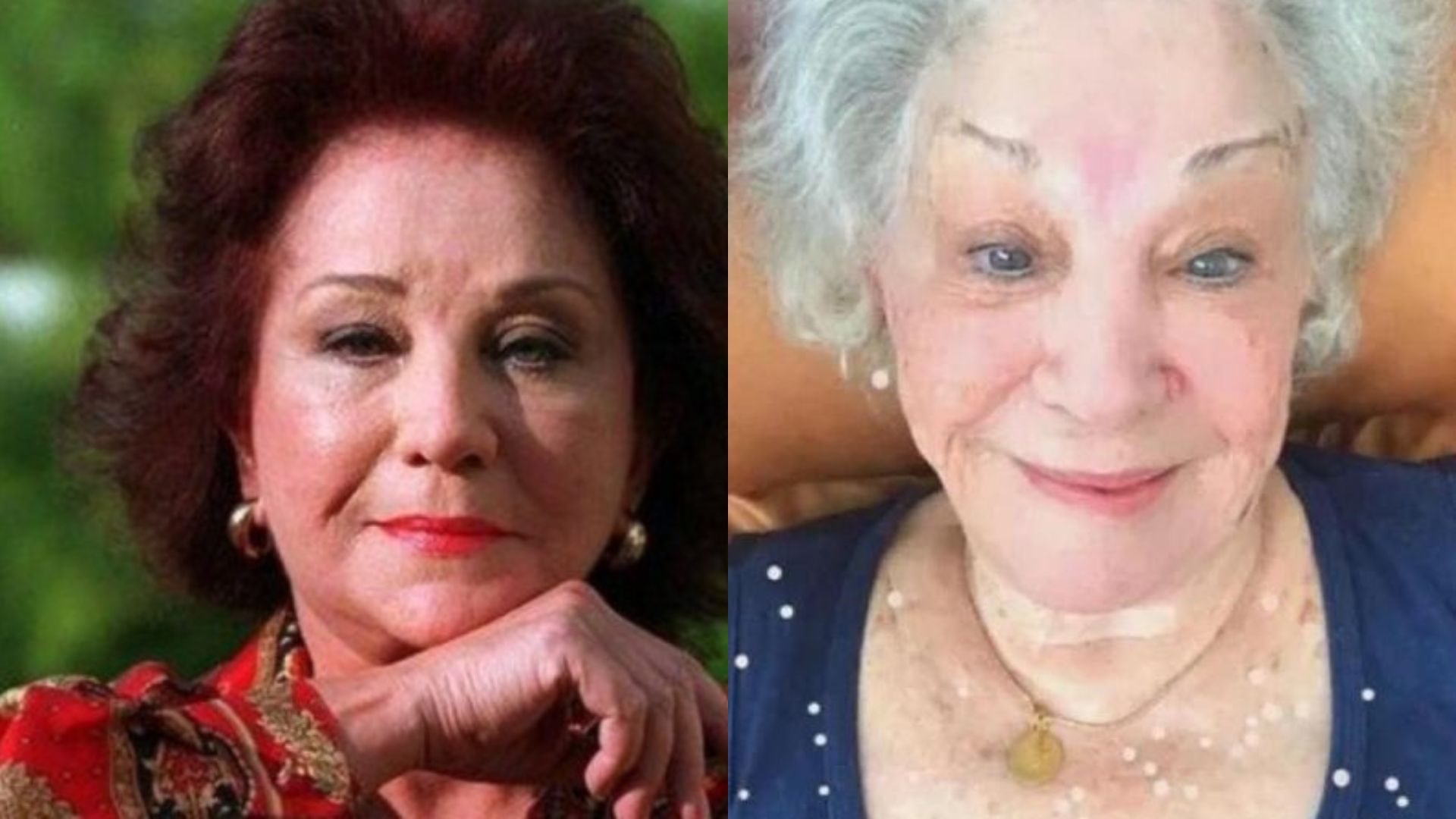 Lolita Rodrigues (Reprodução)