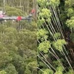 PM encontra helicóptero após 12 dias de buscas - Reprodução/Globo