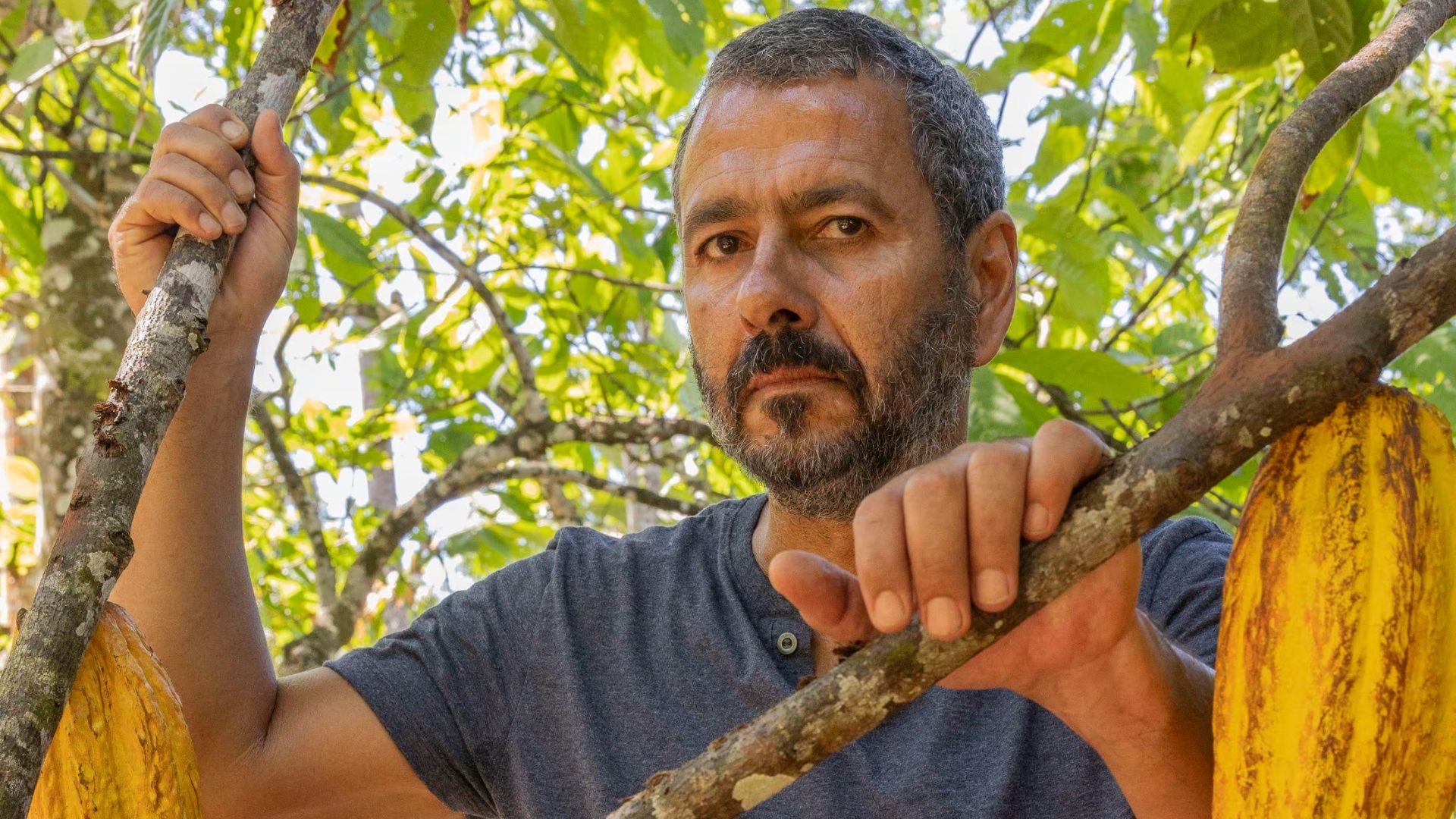 Marcos Palmeira como José Inocêncio em 'Renascer' - Foto: Globo/Fabio Rocha