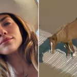 Giovanna Ewbank e cavalo Caramelo - Reprodução/ Instagram