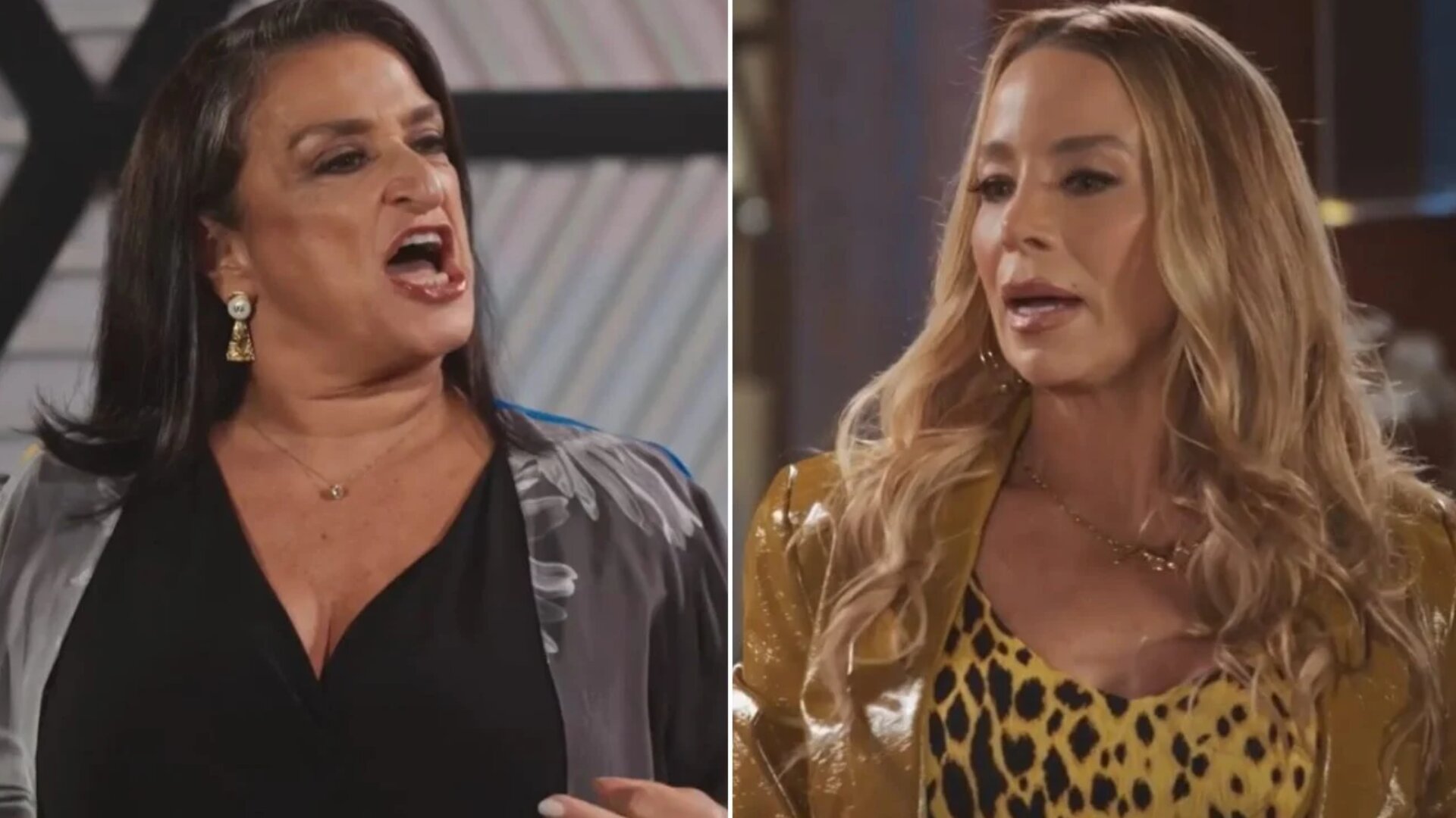 Leda (Grace Gianoukas) e Lizandra (Danielle Winits) em 'Família é Tudo'